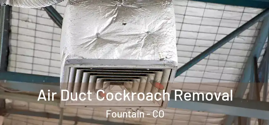  Air Duct Cockroach Removal Fountain - CO