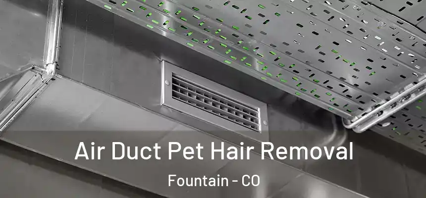  Air Duct Pet Hair Removal Fountain - CO