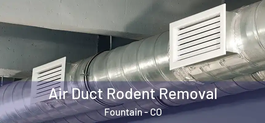  Air Duct Rodent Removal Fountain - CO