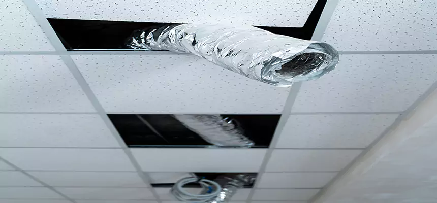 Our Air Duct Pet Hair Removal Services in Fountain, CO