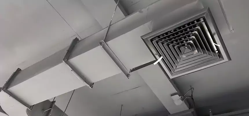 Restorative Allergy Relief Vent Cleaning – Coil, Blower & Housing Detail in Fountain