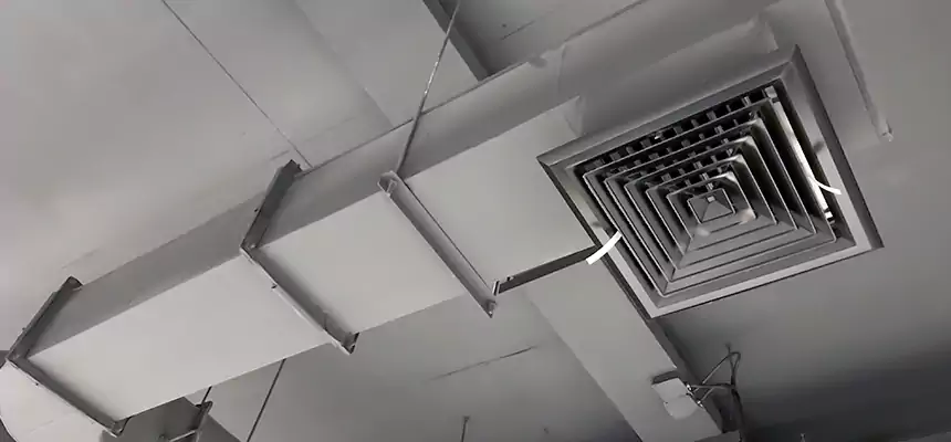 Our Pest Removal From Ducts Services in Fountain, CO