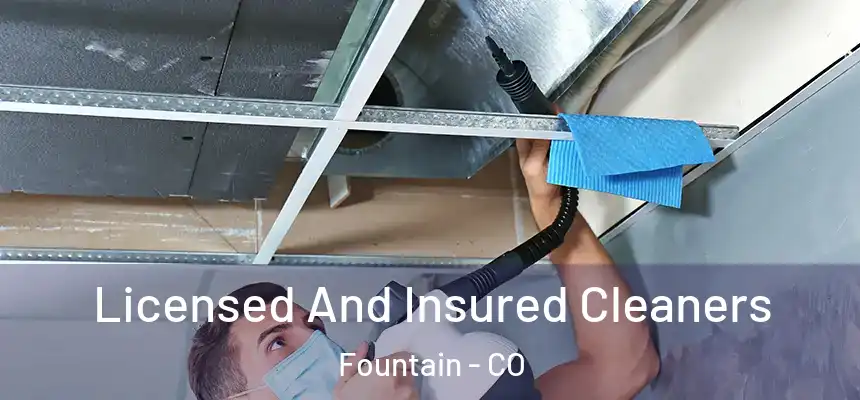  Licensed And Insured Cleaners Fountain - CO