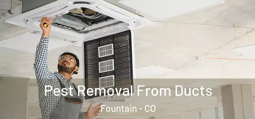  Pest Removal From Ducts Fountain - CO