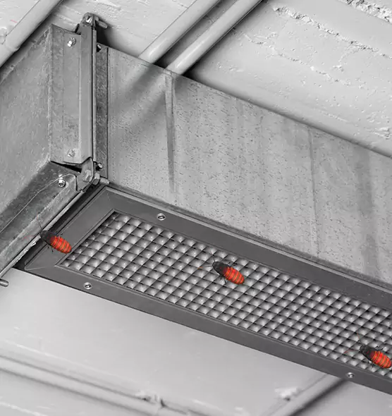 About Air Duct Cockroach Removal in Fountain, CO