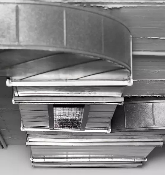 Professional Air Duct Pest Removal in Fountain, CO