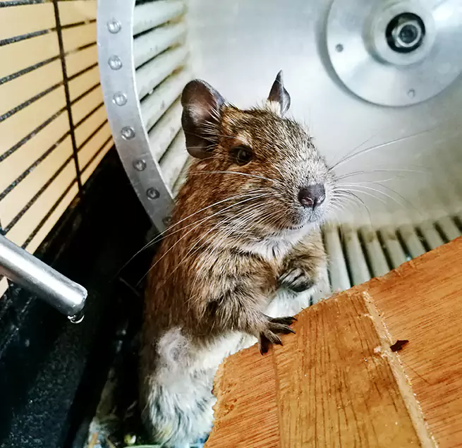 Why Homeowners & Businesses Trust Us Fountain, CO?