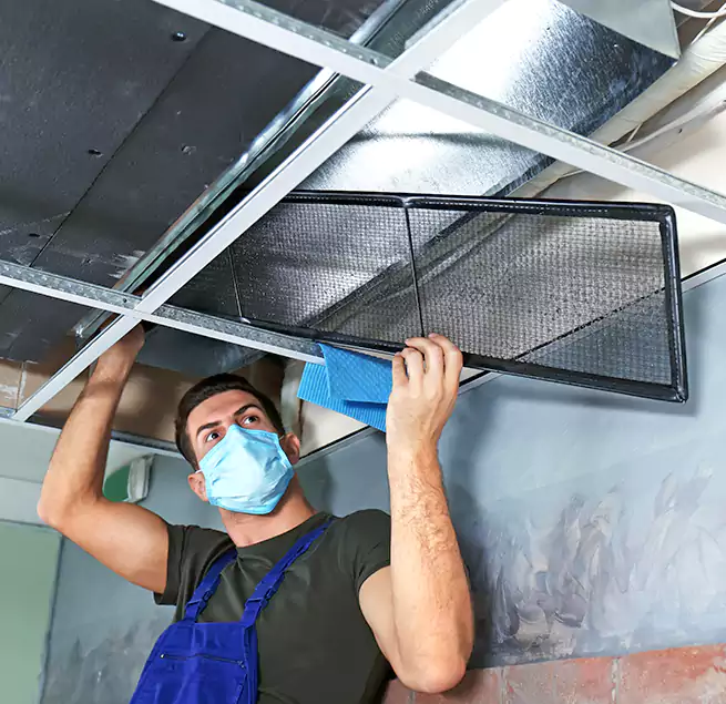 Why Homeowners Businesses Trust Us in Fountain, CO